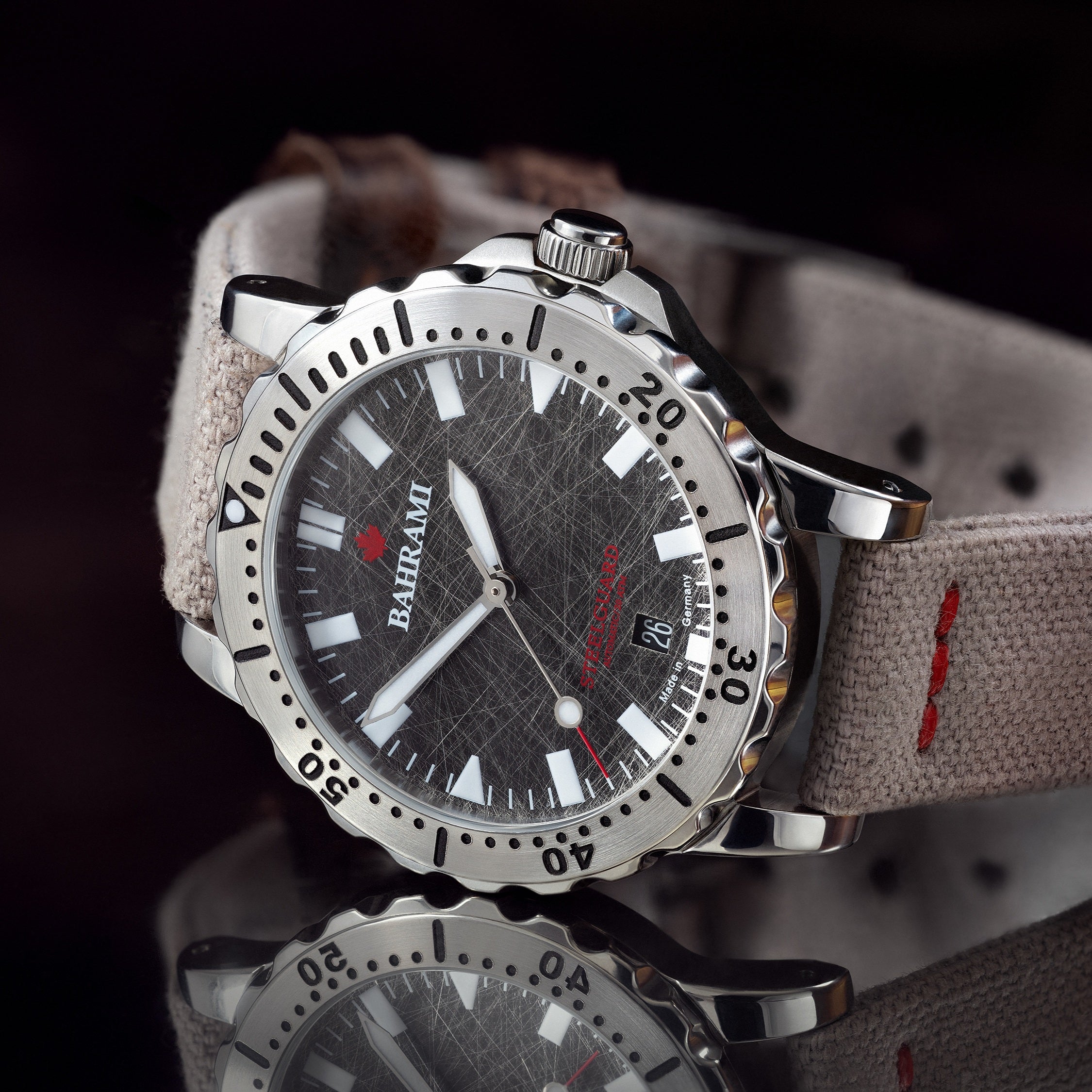 Steelguard D40