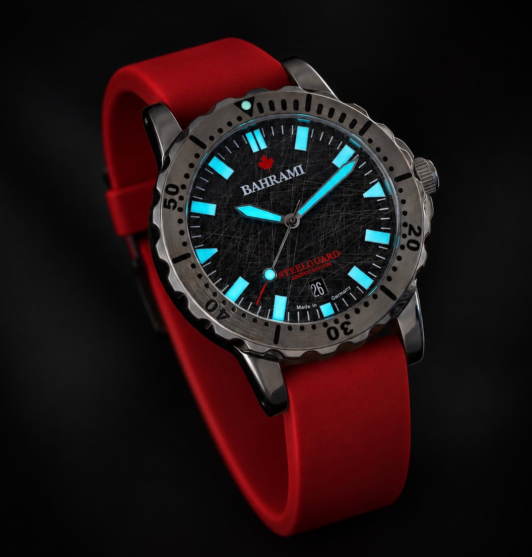 Steelguard D40 - Limited Edition