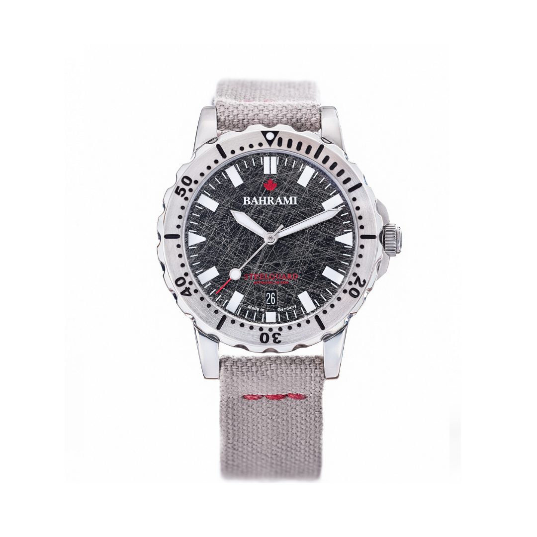 Steelguard D40